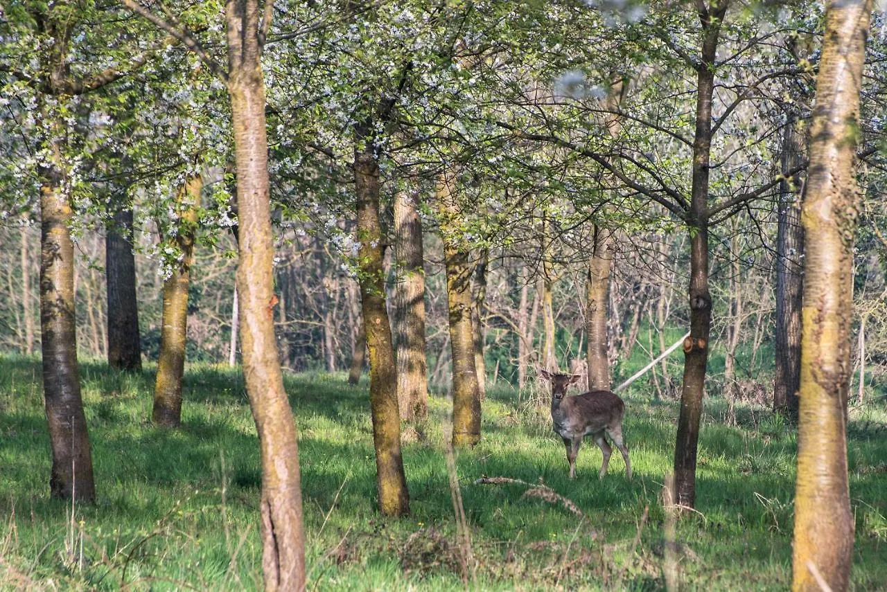 Agriturismo I Leprotti Abbiategrasso