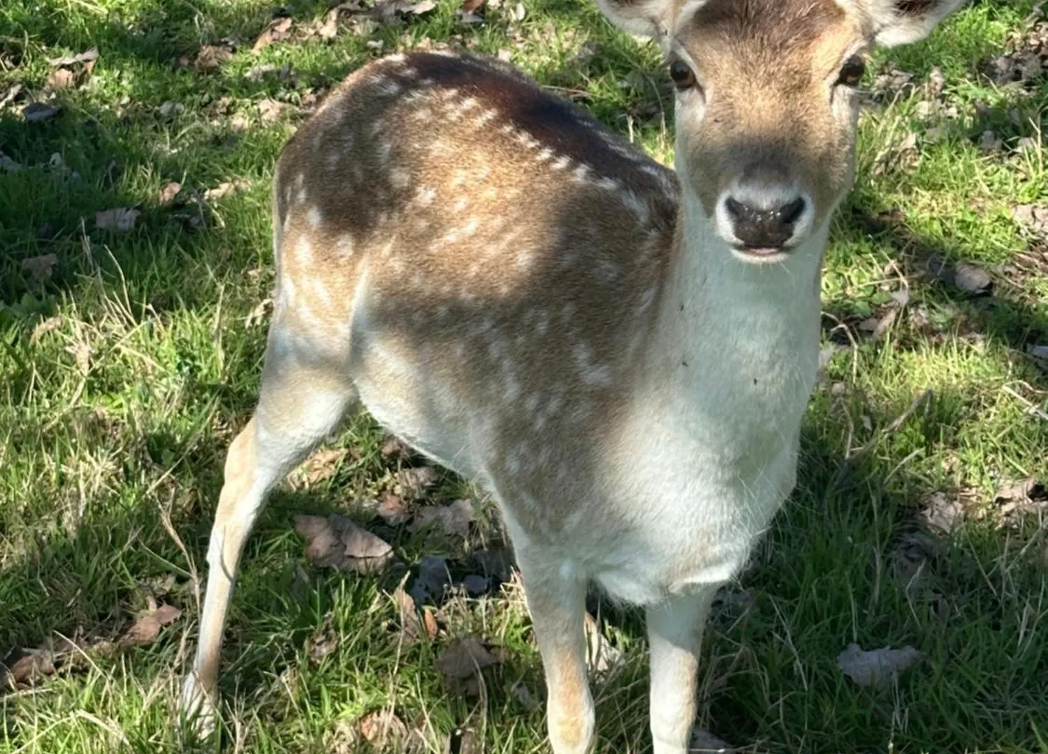 Bauernhof Agriturismo I Leprotti Abbiategrasso