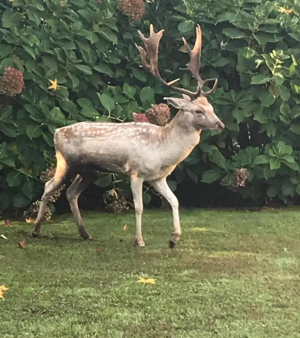 Agriturismo I Leprotti Abbiategrasso Bauernhof