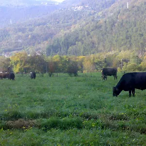 Bauernhof Agriturismo Biobio, Vobarno