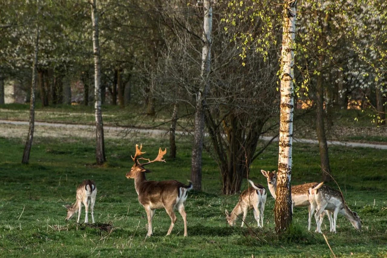 Farm stay Agriturismo I Leprotti Abbiategrasso