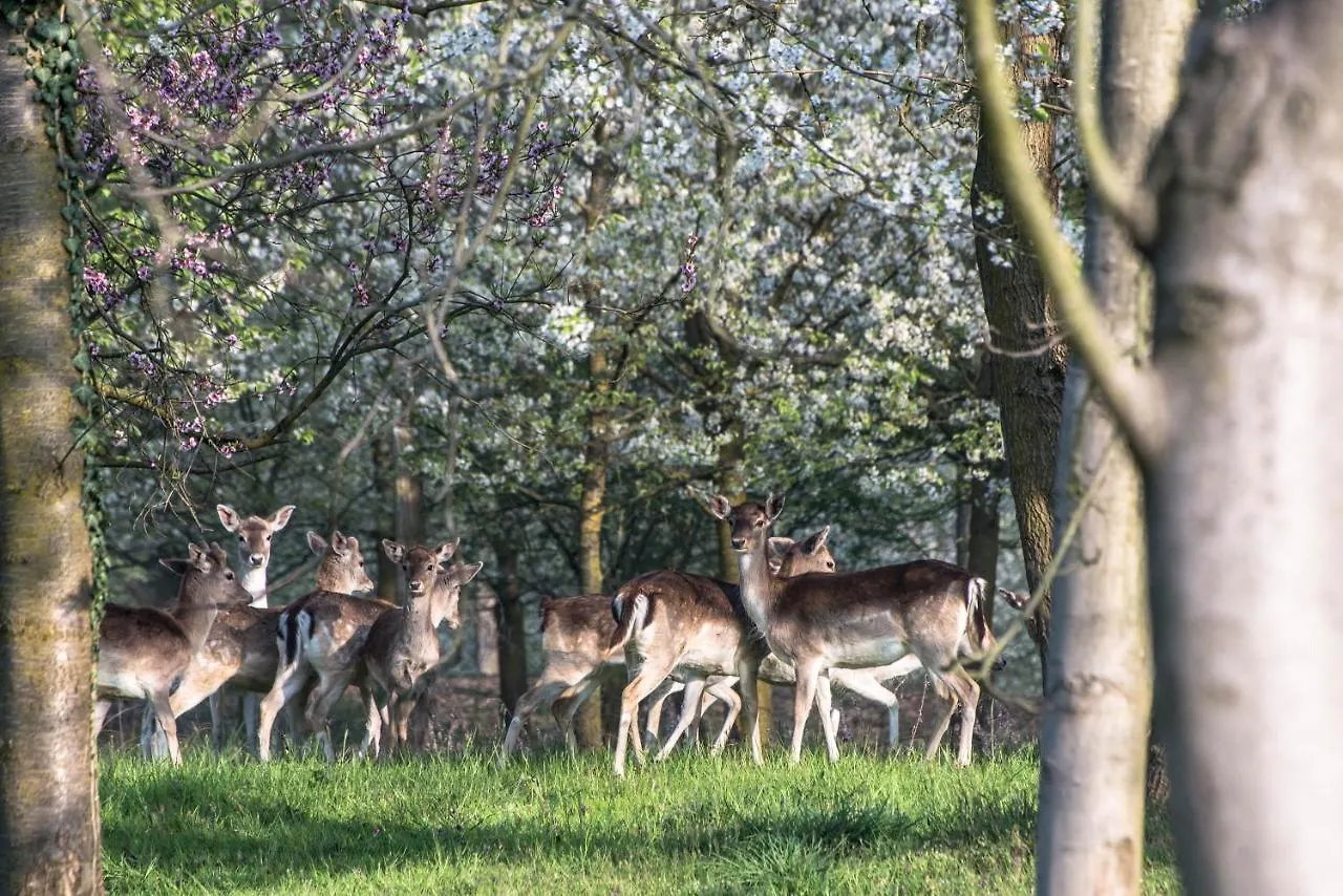 Agriturismo I Leprotti Abbiategrasso Farm stay