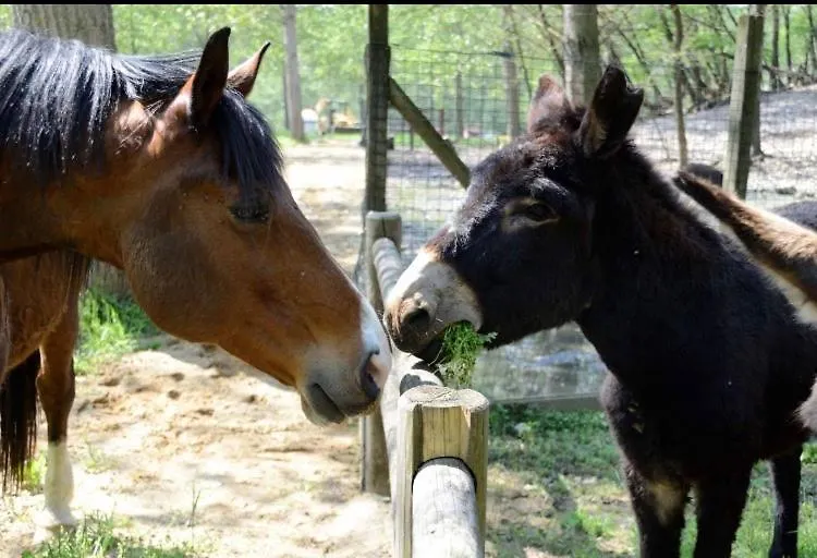 Agriturismo I Leprotti Abbiategrasso