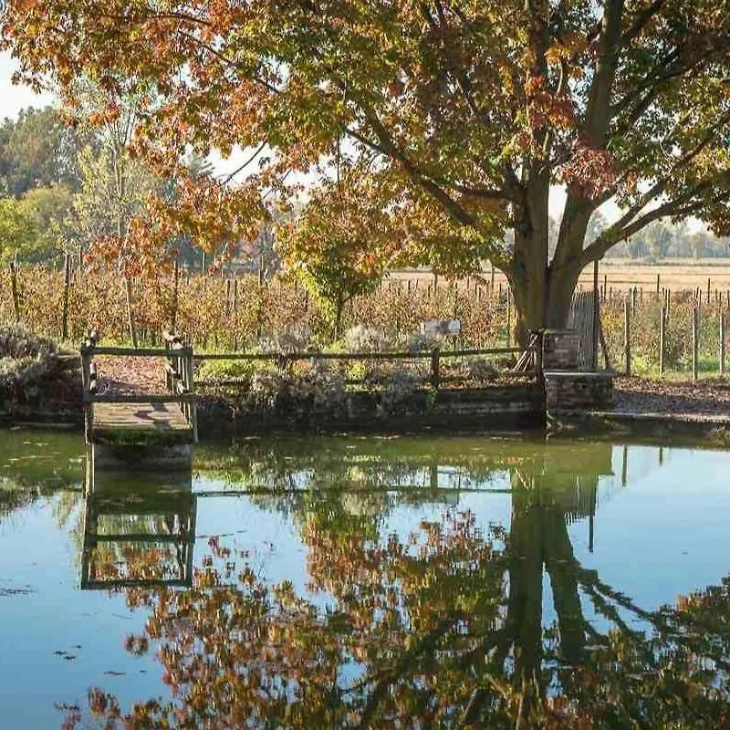 Agriturismo I Leprotti Abbiategrasso 0*,