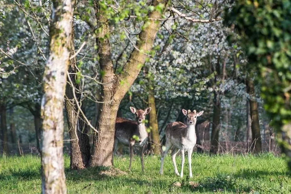 Farm stay Agriturismo I Leprotti Abbiategrasso Italy