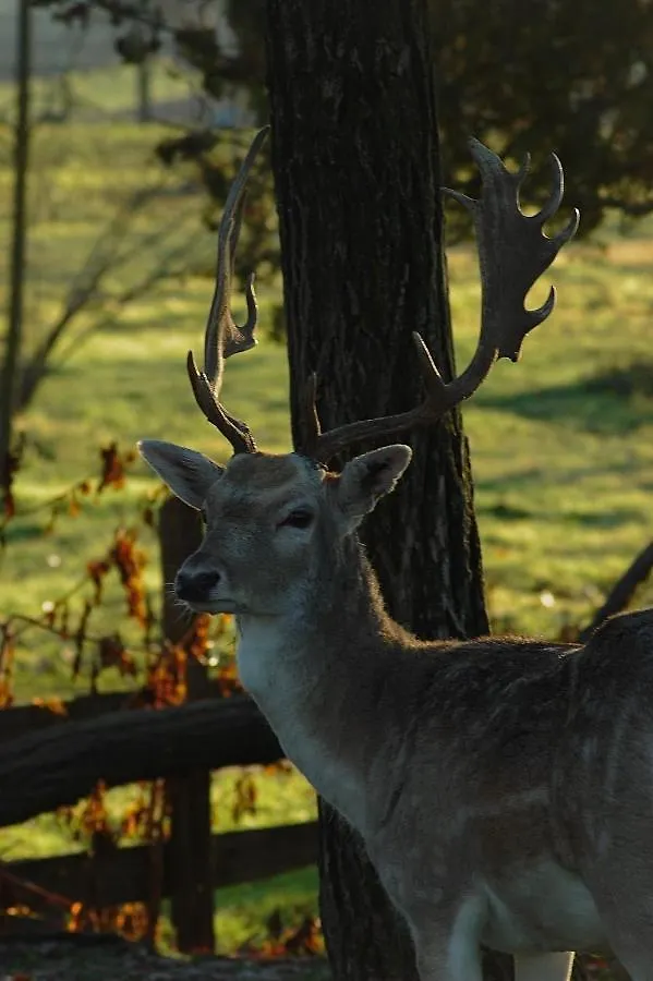 Farm stay Agriturismo I Leprotti Abbiategrasso