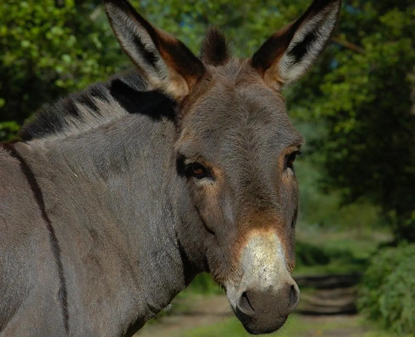 Agriturismo I Leprotti Abbiategrasso Farm stay