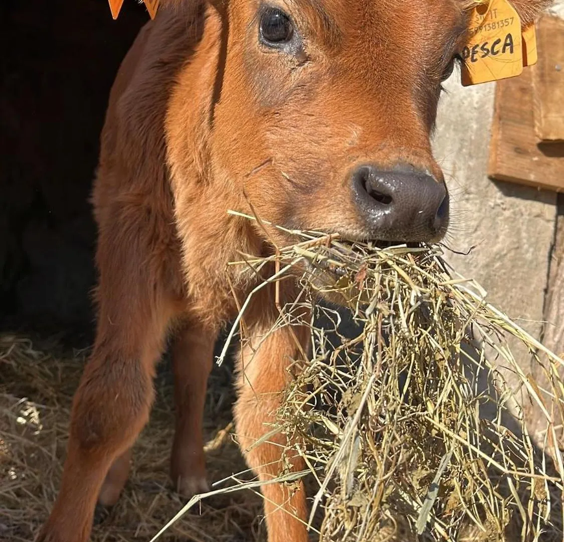 Agriturismo I Leprotti Abbiategrasso